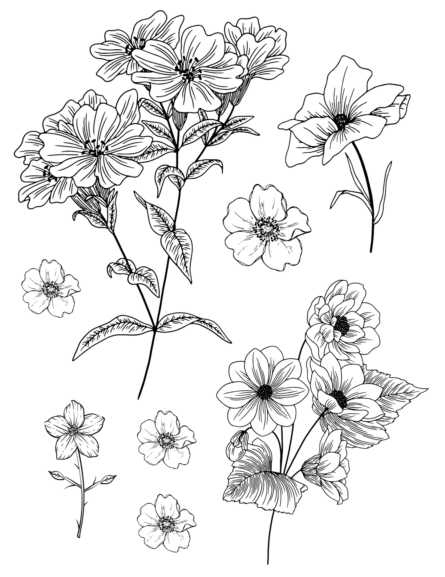 Sublimation Coloring Book: Floral