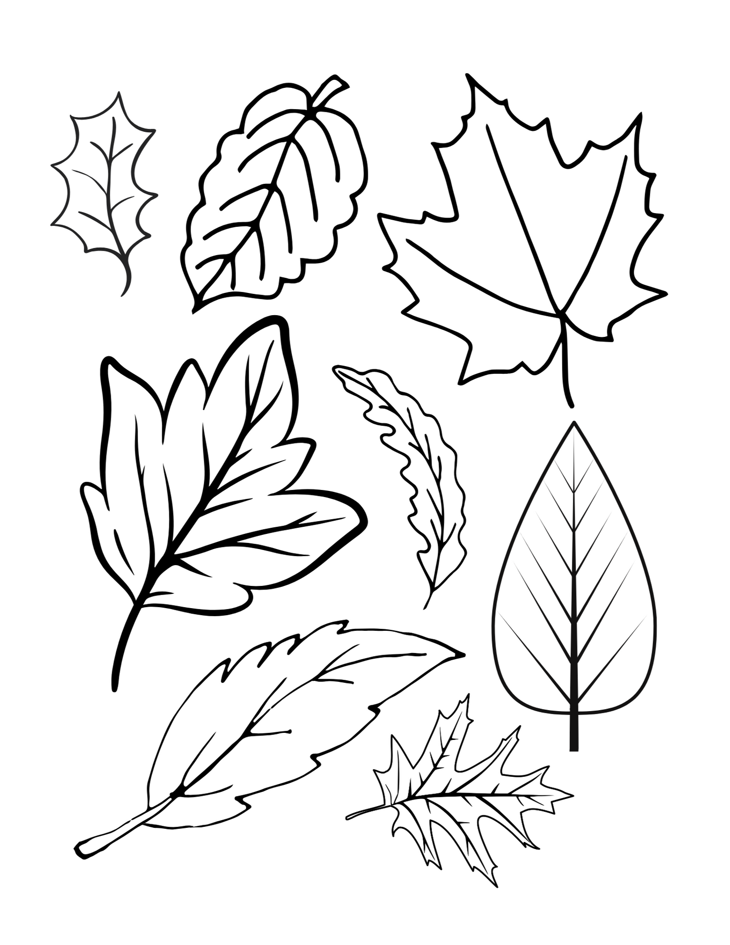 Sublimation Coloring Book: Fall & Halloween