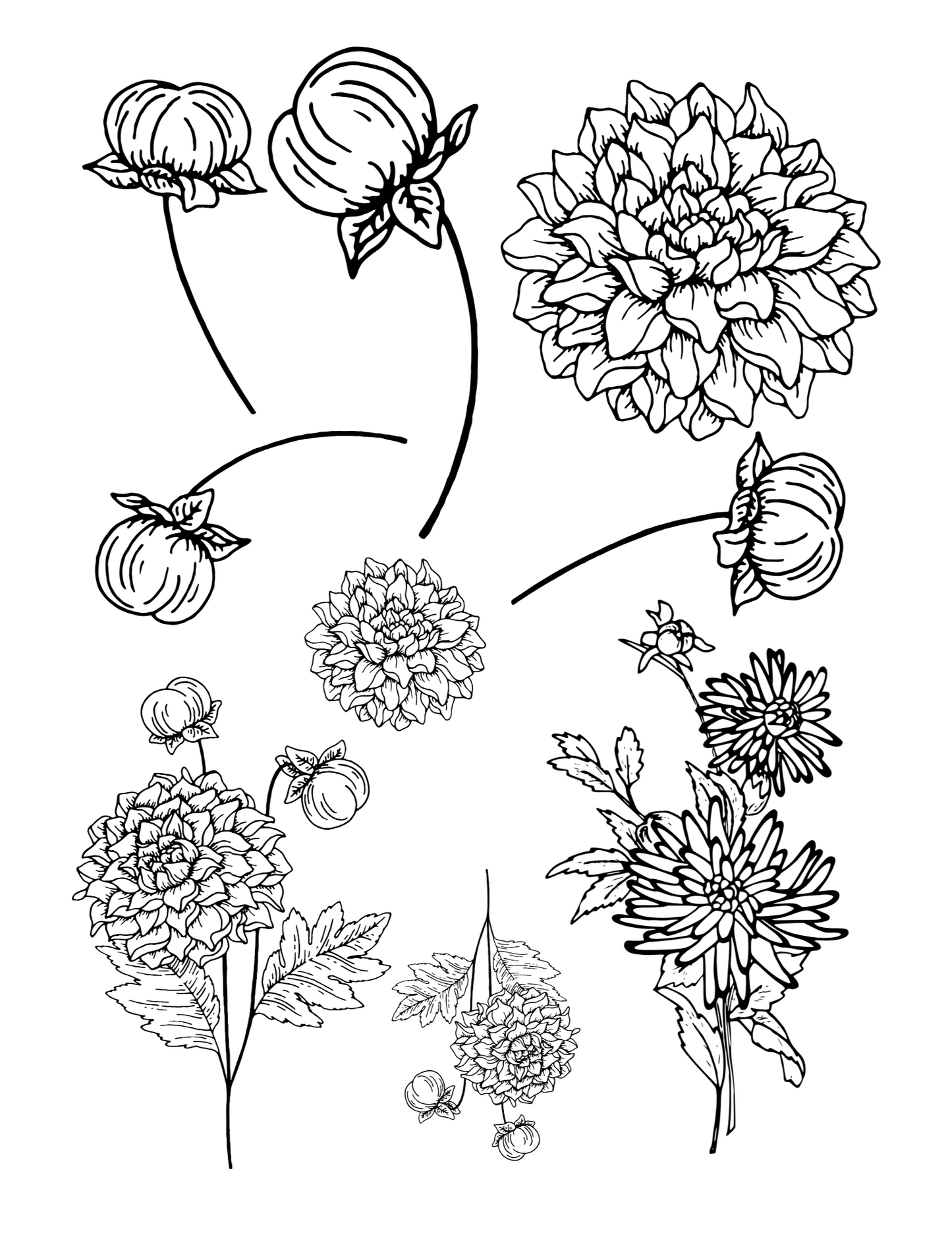 Sublimation Coloring Book: Floral