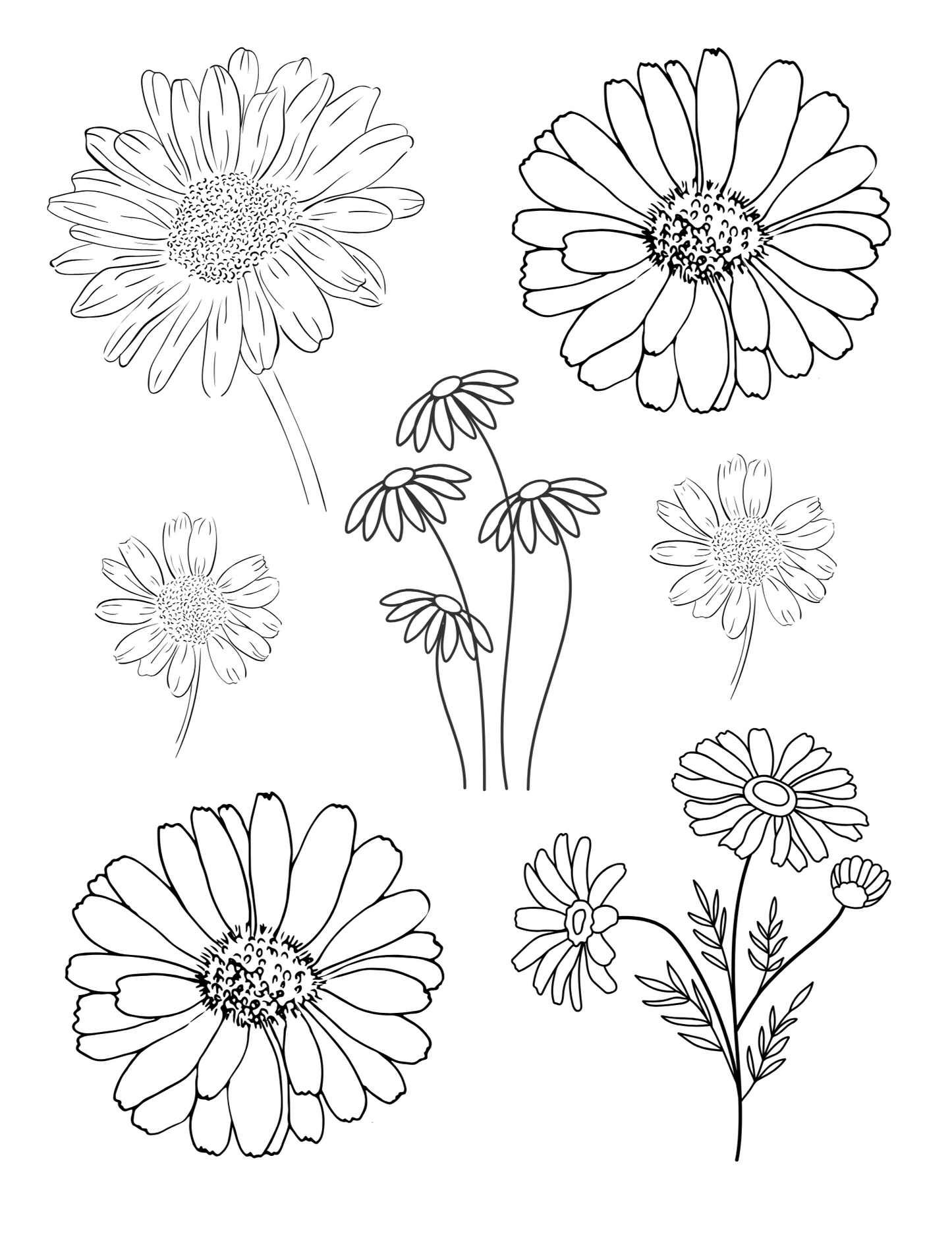 Sublimation Coloring Book: Floral