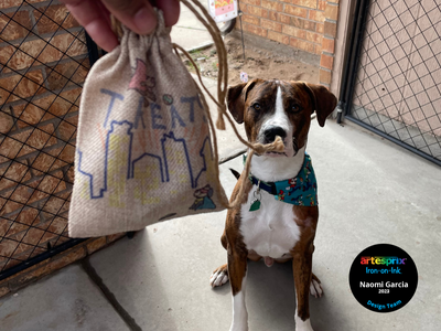 Doggie Treat Iron-on-Ink Drawstring Bag