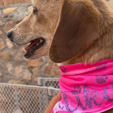 Pink Puppy Love Pet Bandana with Artesprix Sublimation Paint