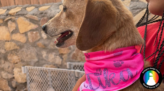 Pink Puppy Love Pet Bandana with Artesprix Sublimation Paint