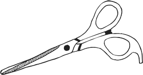 Scissors illustration